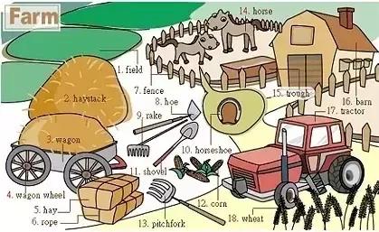 英语老师分享：34张图让孩子记住英语中所有生活词汇！太实用了！