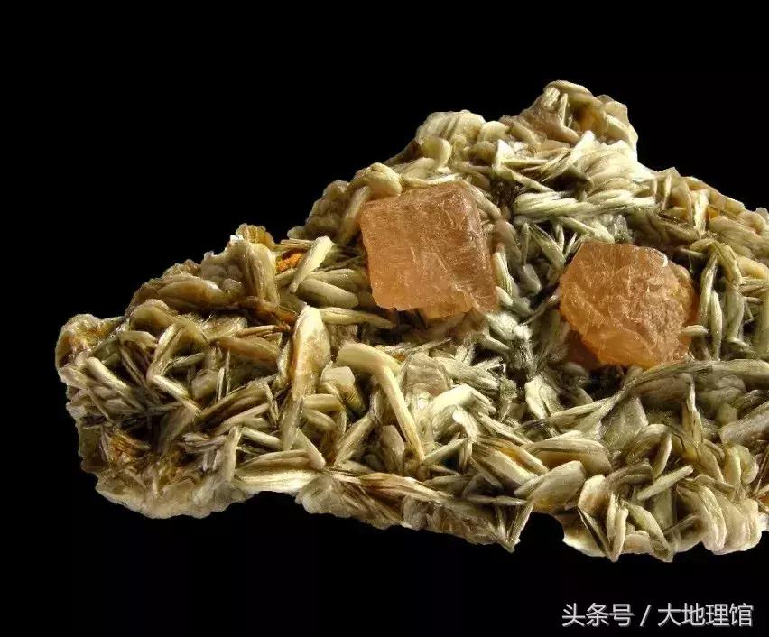 地球上有两个地方是哪里,地球上有多少个国家分别在哪