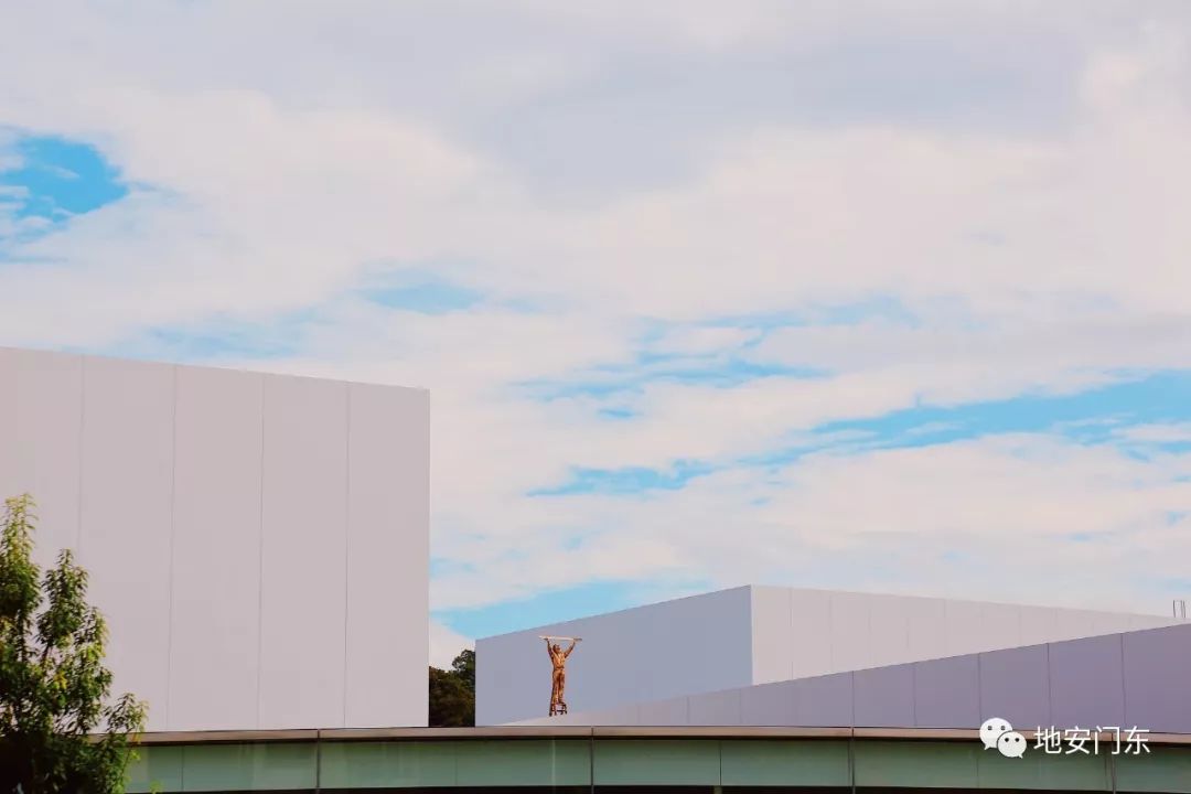 日本高品质小锦鲤,日本金泽市北陆