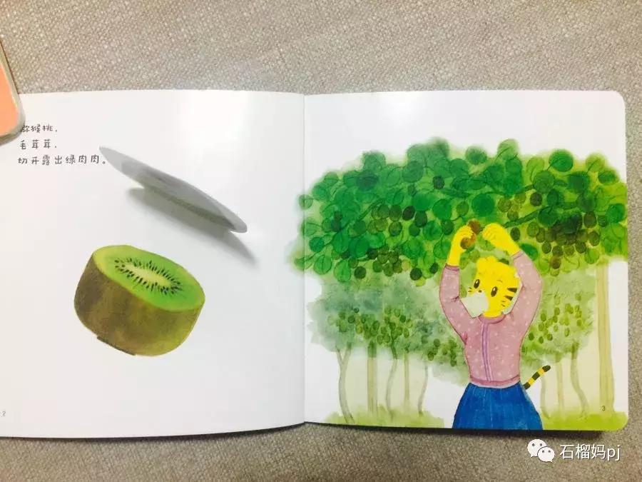 巧虎乐智小天地是正版吗,巧虎乐智小天地2008版