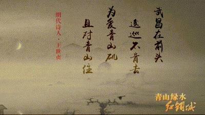 红蓝绿黑你喜欢什么色,红绿蓝清新配色