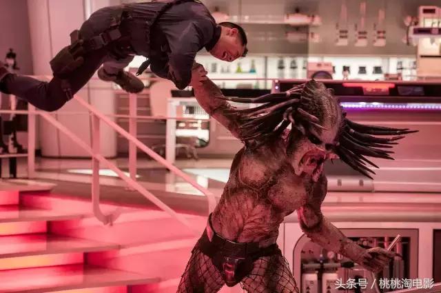 影向标第166期：《阿拉姜色》《铁血战士》《昨日青空》