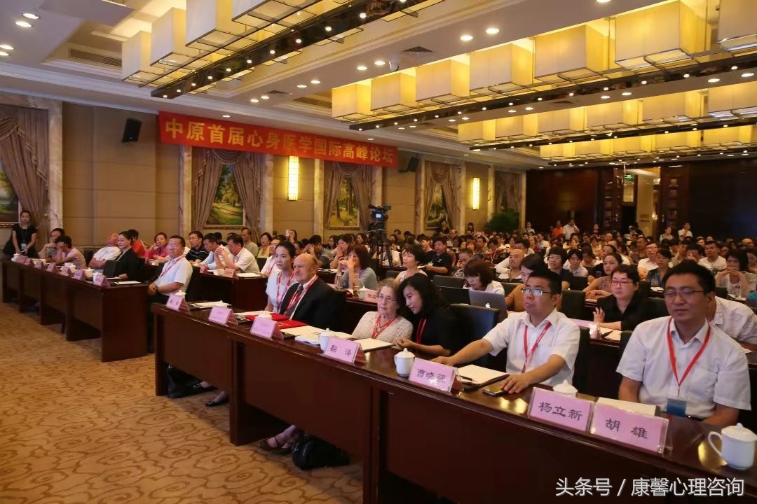 第二届国际心理咨询与治疗高峰会,心理治疗与心理咨询大会
