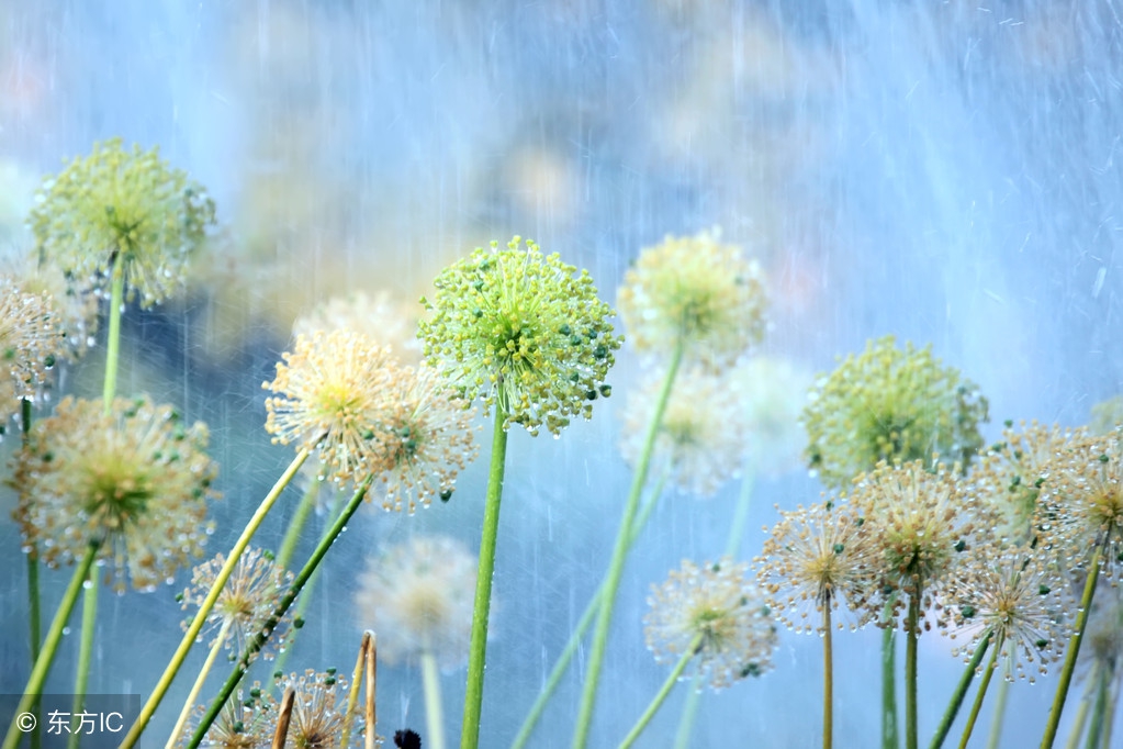 鏃ュ父鍙ｈ澶╂皵琛ㄨ揪,鎬庢牱鐢ㄨ嫳璇舰瀹归洦寰堝ぇ