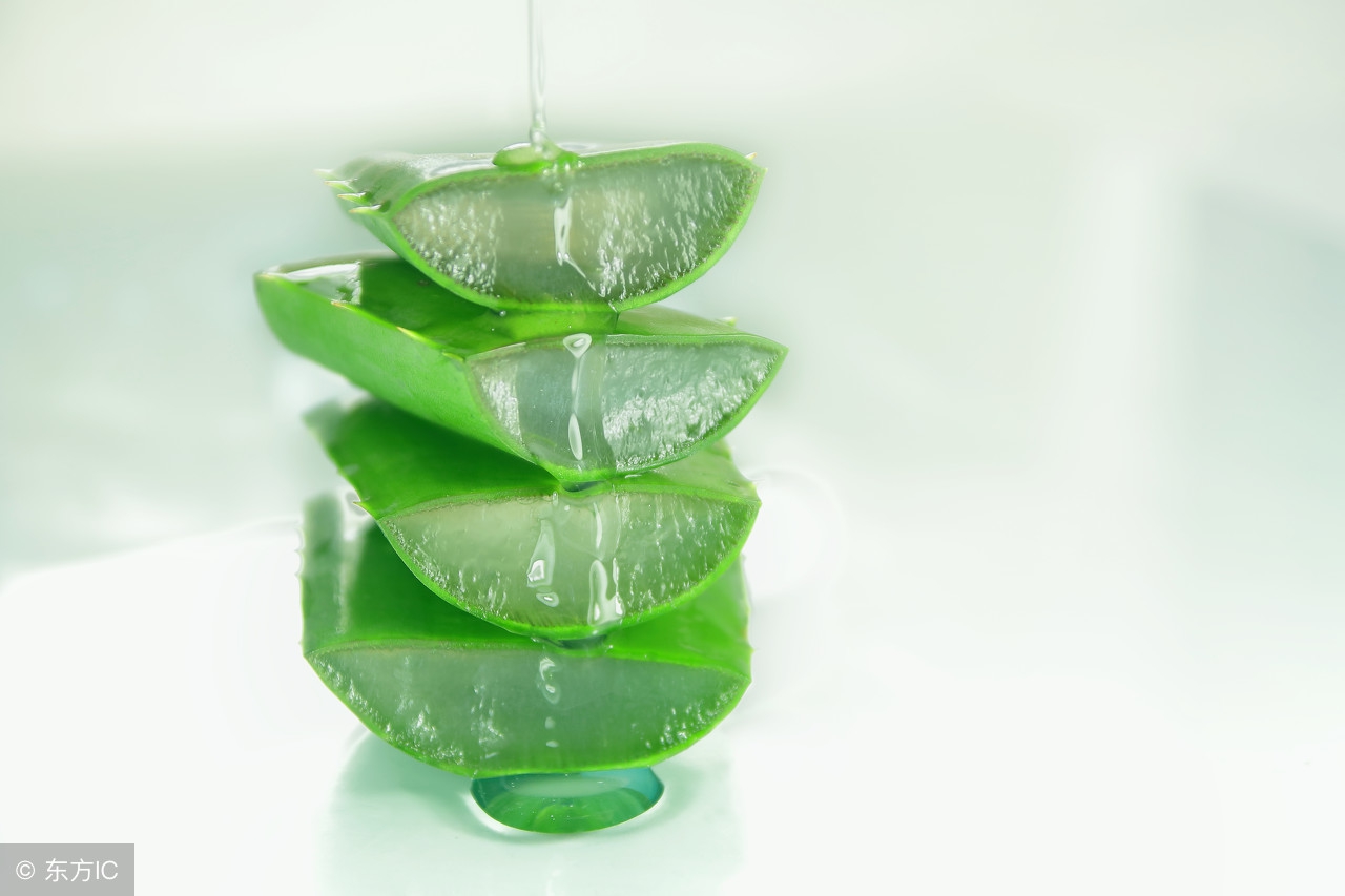 芦荟胶的多重功效，用好了能省一大笔钱