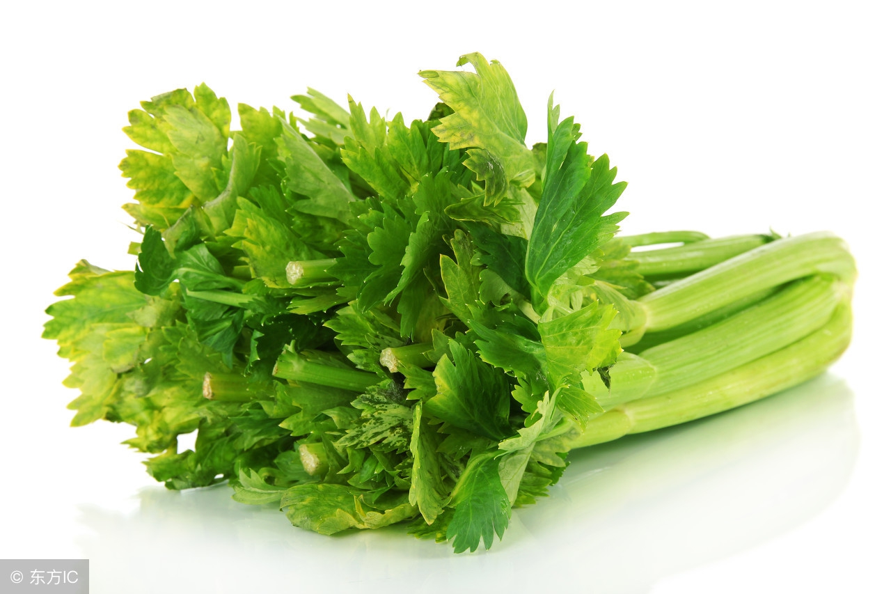 宁夏特色十大特产,宁夏十大特产简介