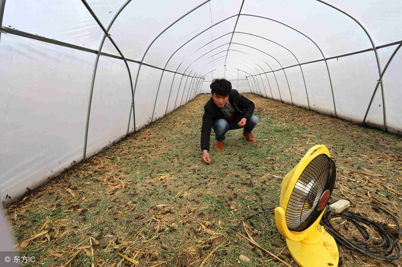 济南2018年度热词出炉？锦鲤Pick一下上榜？隐形贫困人口排第几？