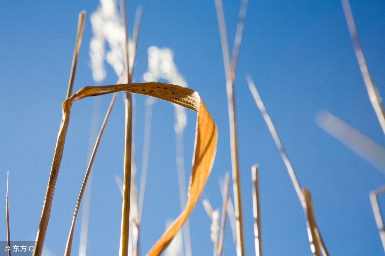 一招解决嘴唇干裂流血,快速解决唇干