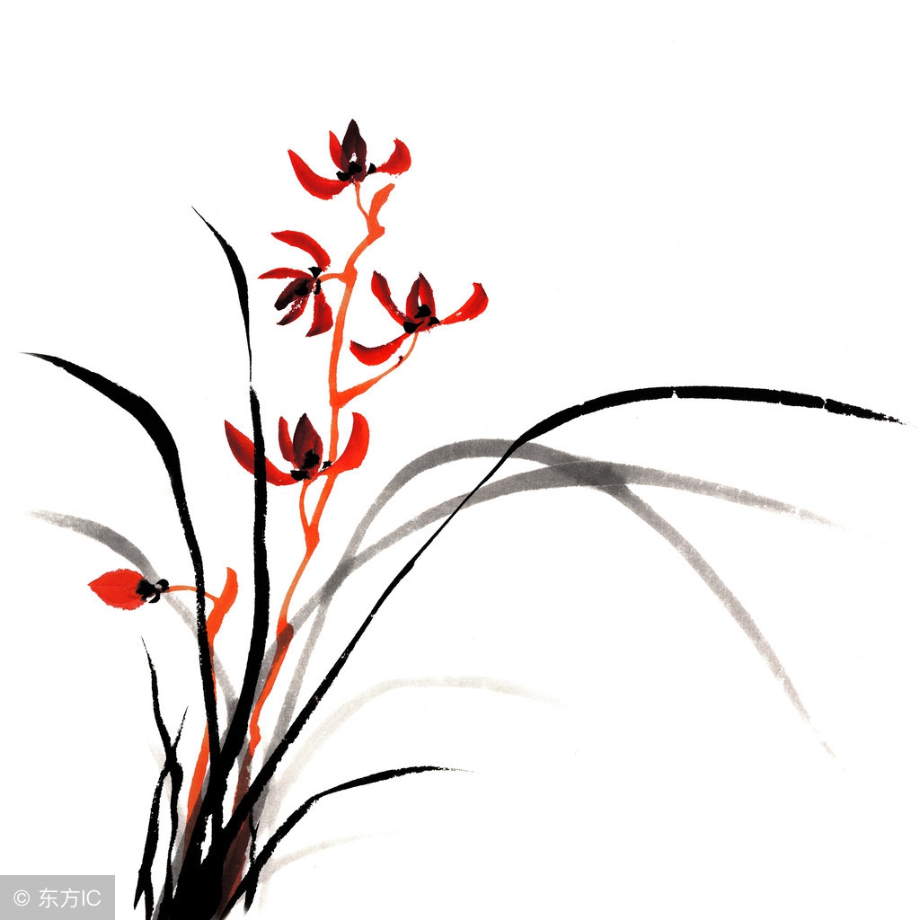 兰花十大名花排名及产地,详解十大名花兰花的特点