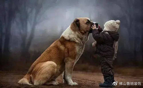 装修最简单能自己搞定的活,干装修的如何装修自己的家