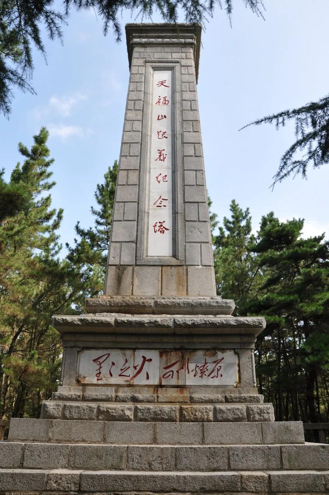 文登西洋参园,天福山文登