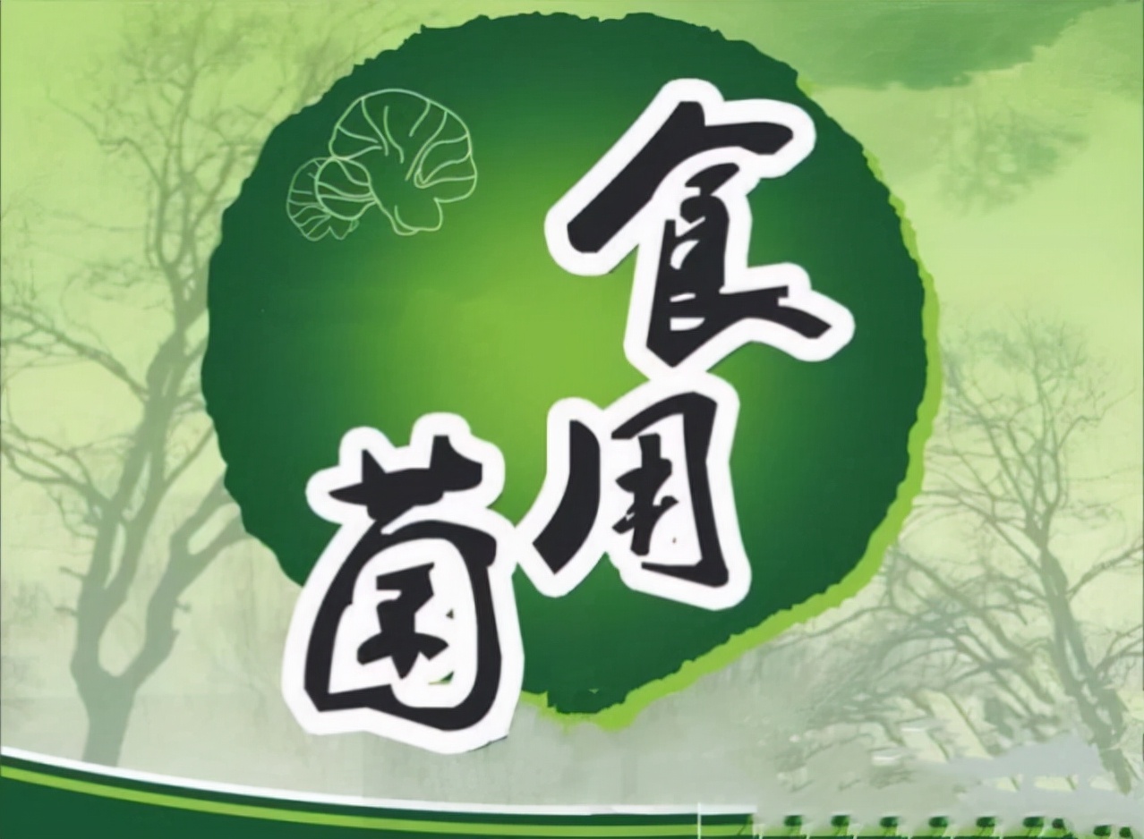 食用菌行业前景利润分析报告,食用菌市场前景分析