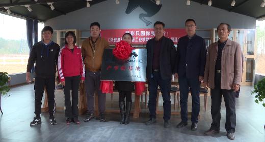 大学体育选修课哪个最好最简单,大学体育选修课有哪些