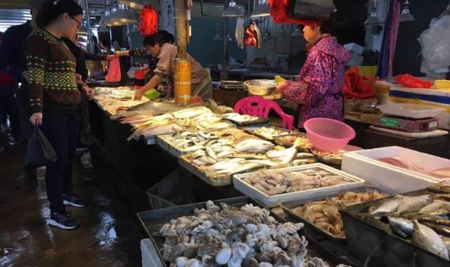 台山那琴半岛地质海洋公园门票,台山那琴湾半岛攻略