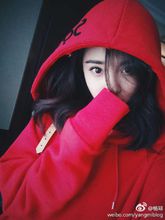 杨幂的个人经历,杨幂的经历