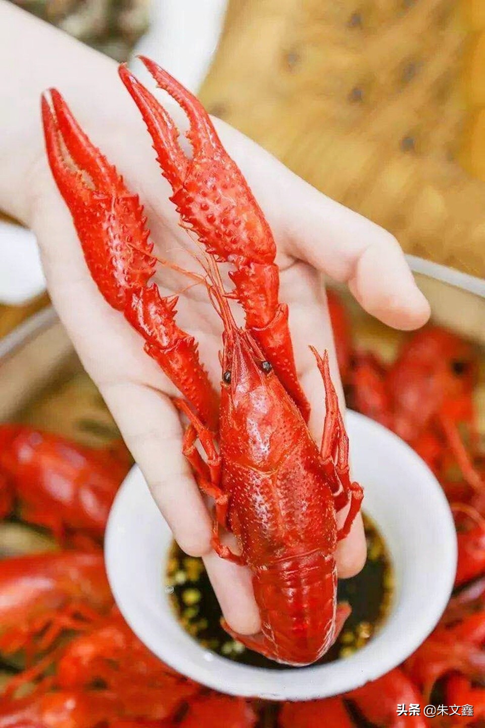 监利红虾红遍天下,中国小龙虾之乡监利