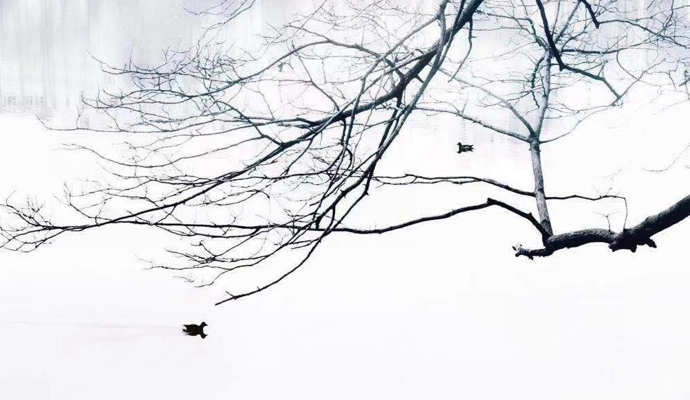 象策学堂（一）∣慢、稳才能快，提升摄影水平的捷径就是少走弯路