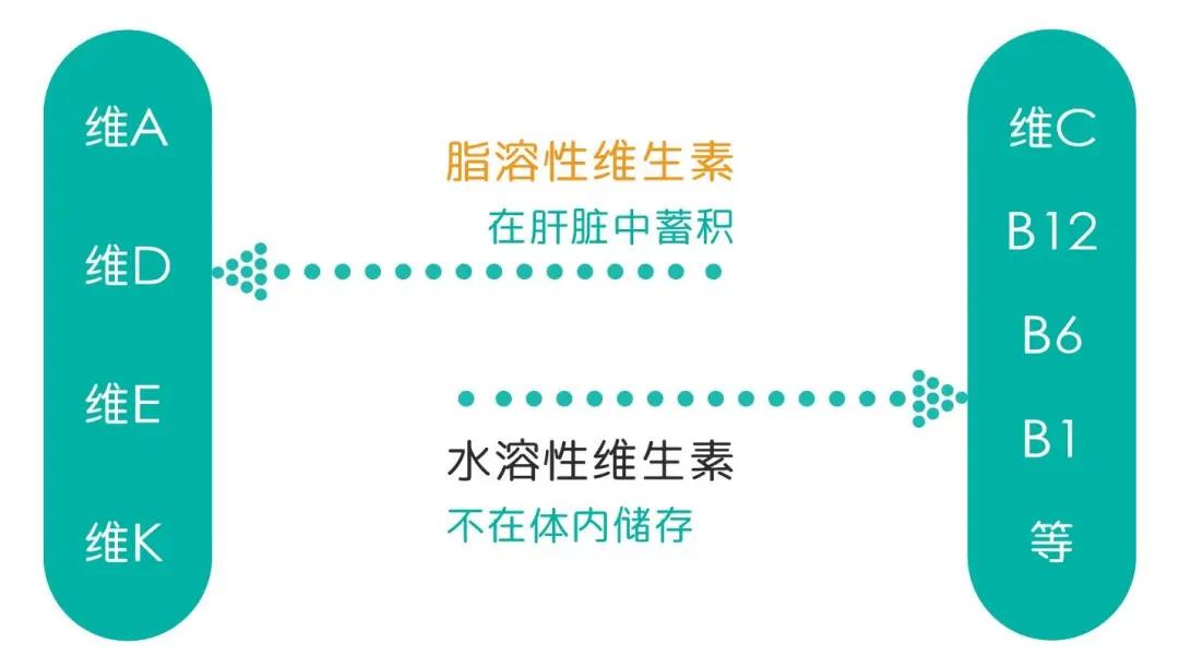 猫咪维生素b补多了有什么坏处,猫咪维生素补多了会怎样