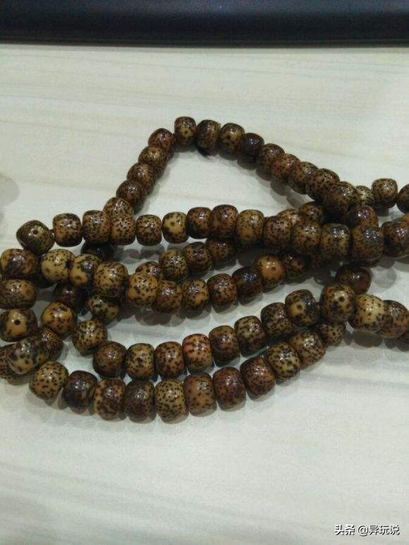 新手星月菩提适合买多大的,星月菩提4大禁忌