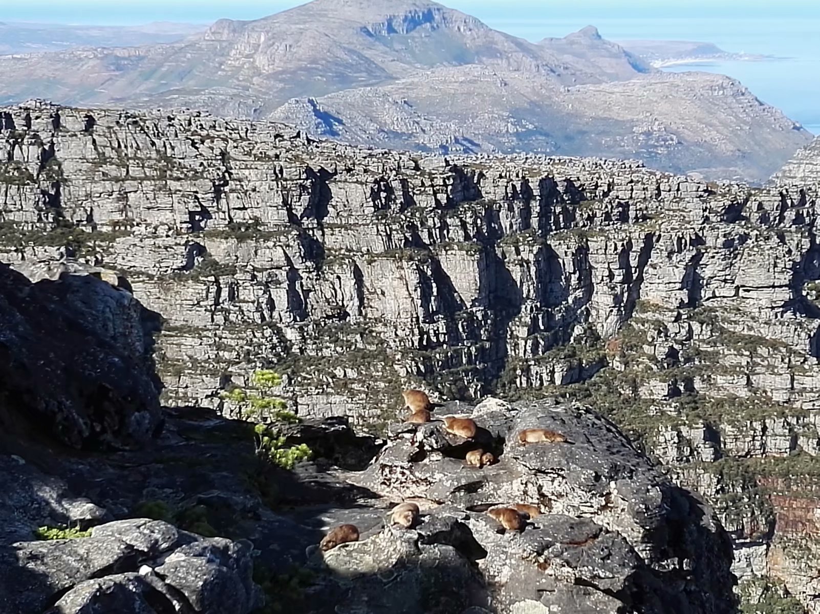 南非开普敦山吃饭,开普敦桌山上帝遗落在人间的餐桌