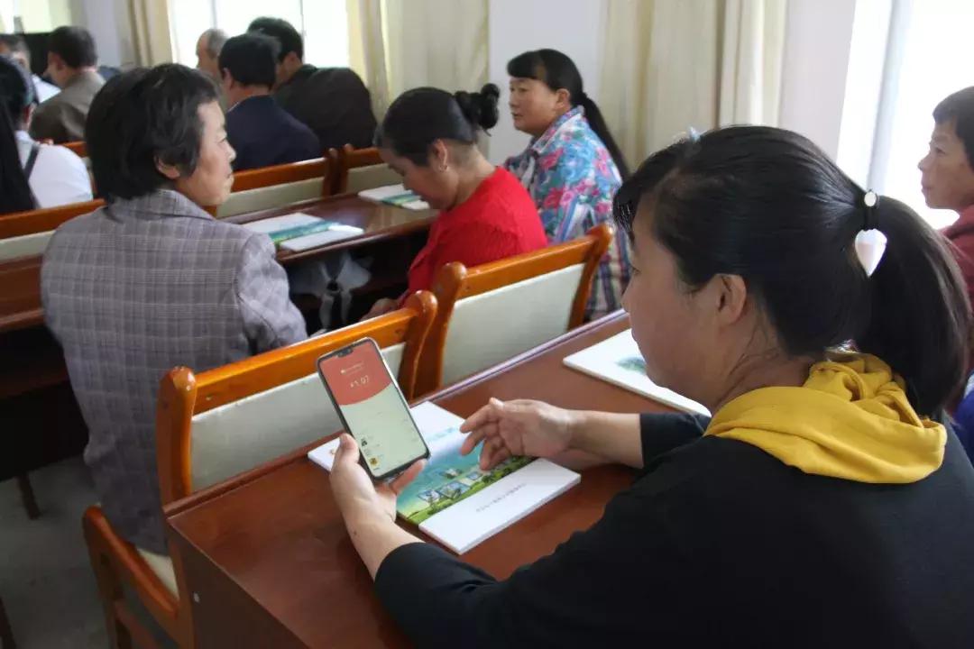 如何快速搭建农村电商平台,五个最好的农村电商平台
