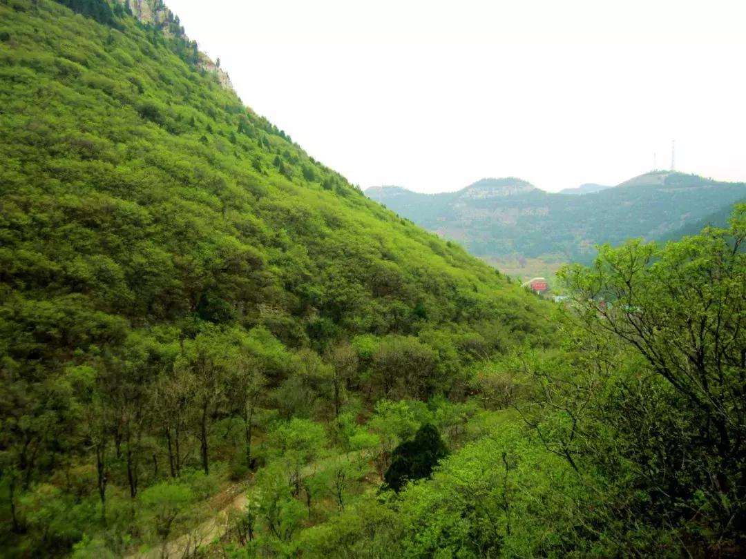 临朐石门坊风景区路线,临朐石门坊风景区