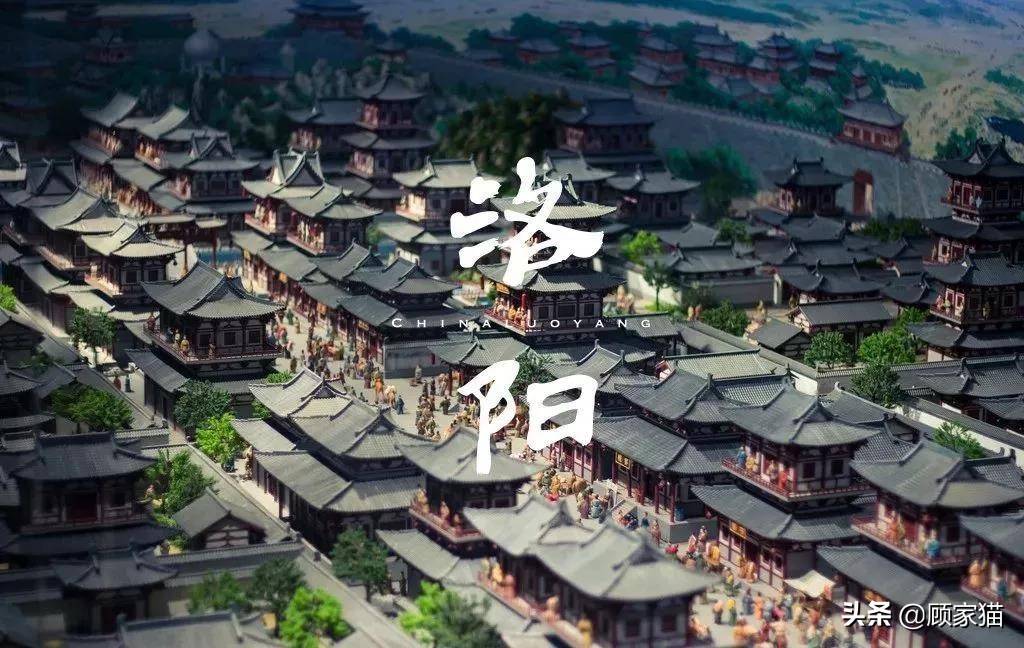 顾家猫是什么品牌,顾家猫家装平台