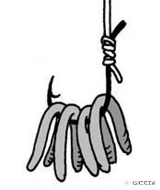 钓黄辣丁怎么挂蚯蚓,串钩挂蚯蚓钓鱼技巧