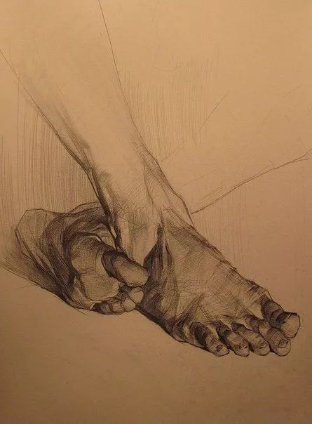 值得收藏的素描,今日分享基础素描干货