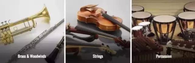 靠“*养包**”员工，逼疯同行！最不务正业的公司，在全球火了100年