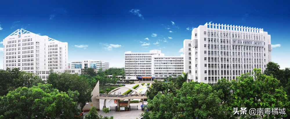 广东茂名有哪些大学,广东茂名郊区有哪些大学