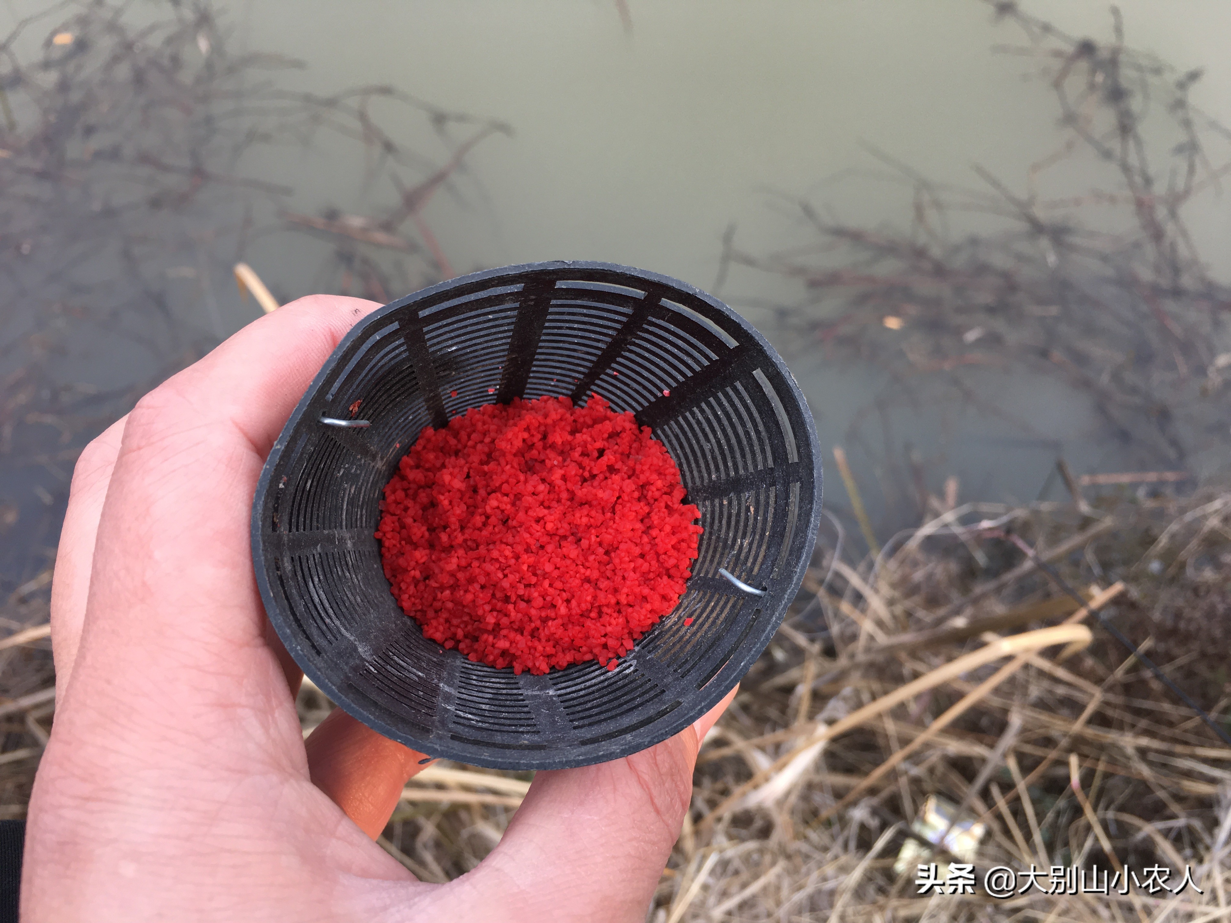 要想鱼上岸，就拿粮食换！用这5种打窝方法，利用好每一粒窝料