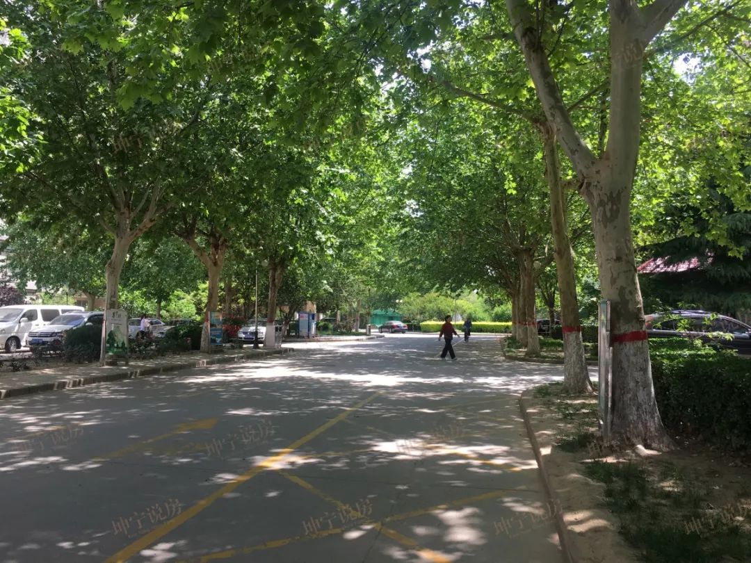 实探学区房,实探一线学区房