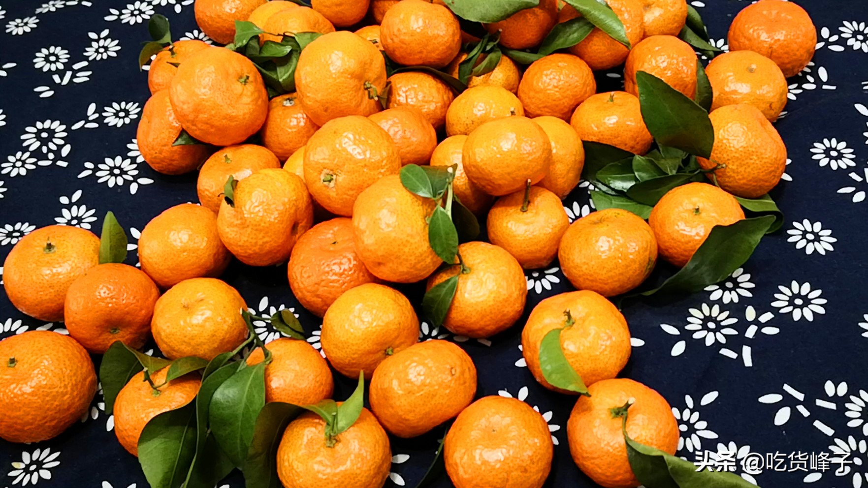 过年必备花生瓜子砂糖橘,过年吃沙糖桔代表什么