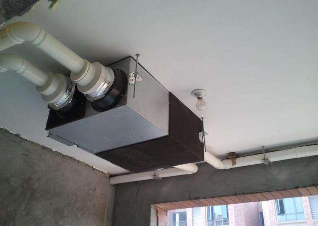 改善屋内空气妙招,房间里面有一股霉臭味怎么去除