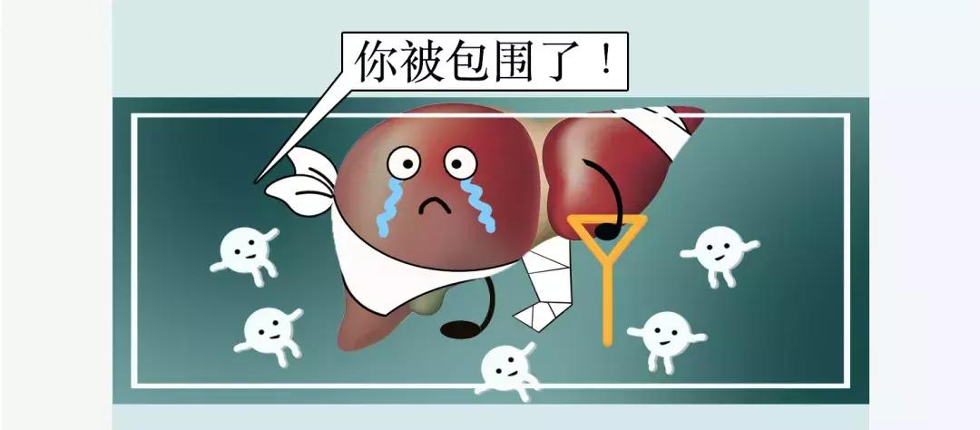 保肝药是西药还是中药,保肝药治疗