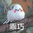 这绝对是我离大神最近的一次