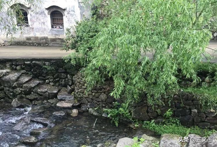 当角们走近东屏|浙江台州三门县雨中漫步游记