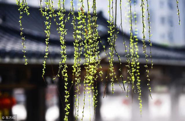 关于思乡送别爱国田园风光的古诗,有关爱国情怀边塞古诗词