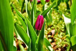 个性签名简短精辟句子大全,盘点那些精辟犀利的个性签名