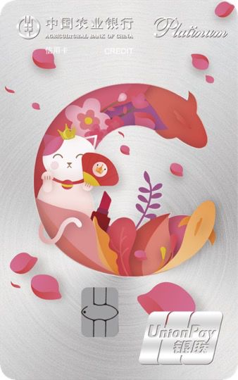 哪个银行跨境汇款便宜,哪个银行国际卡最好