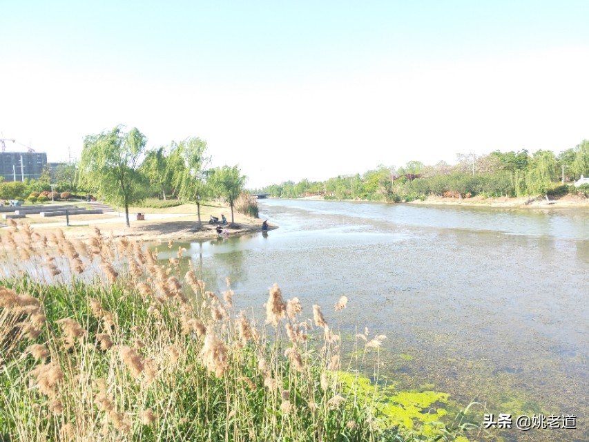 夏天早上钓深好还是钓浅好,夏天天热晚上钓深水还是浅水