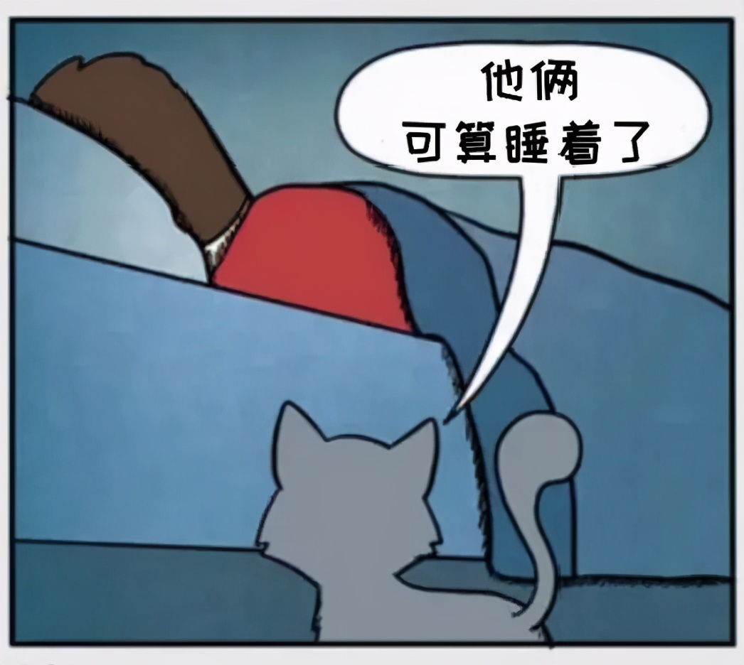 猫和铲屎官漫画全集,铲屎官和狗子的漫画