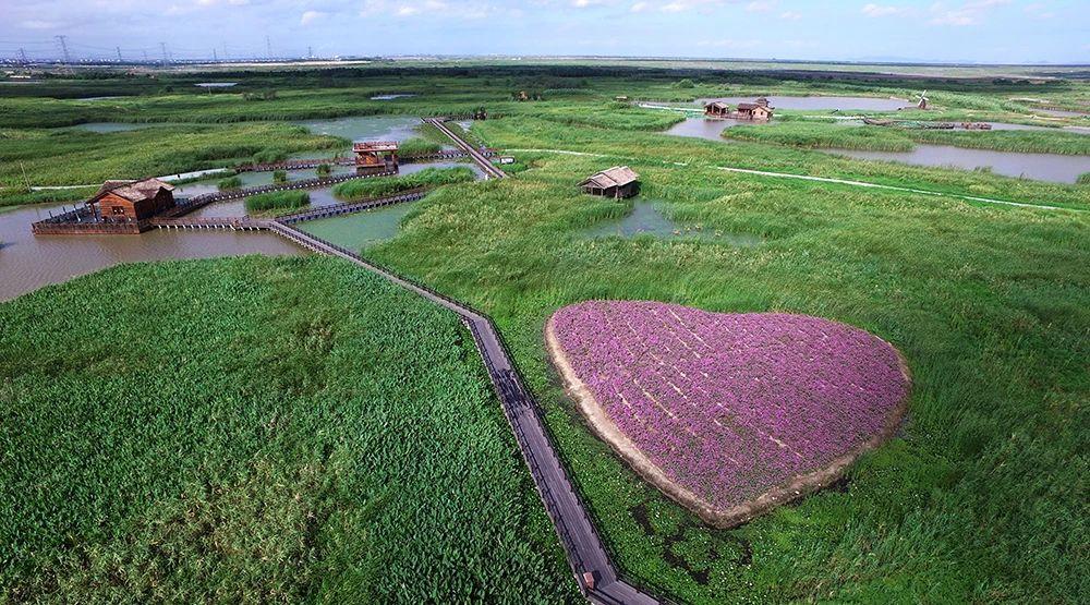 住杭州湾舒服吗,杭州湾新区适合住吗