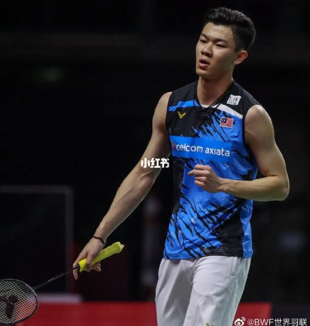 世界羽毛球男队员排名,世界十大男子羽毛球队员排名