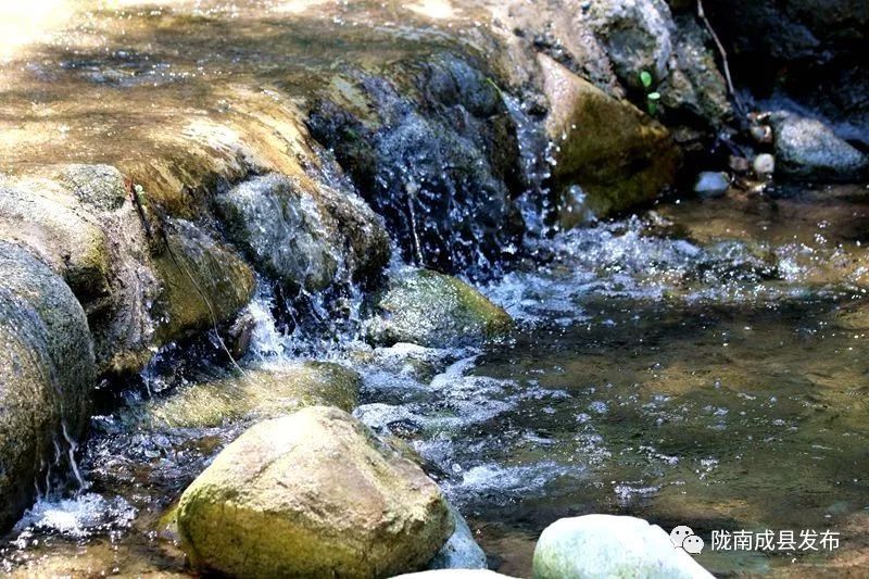 我叫成县，这是我2019年的自拍照~