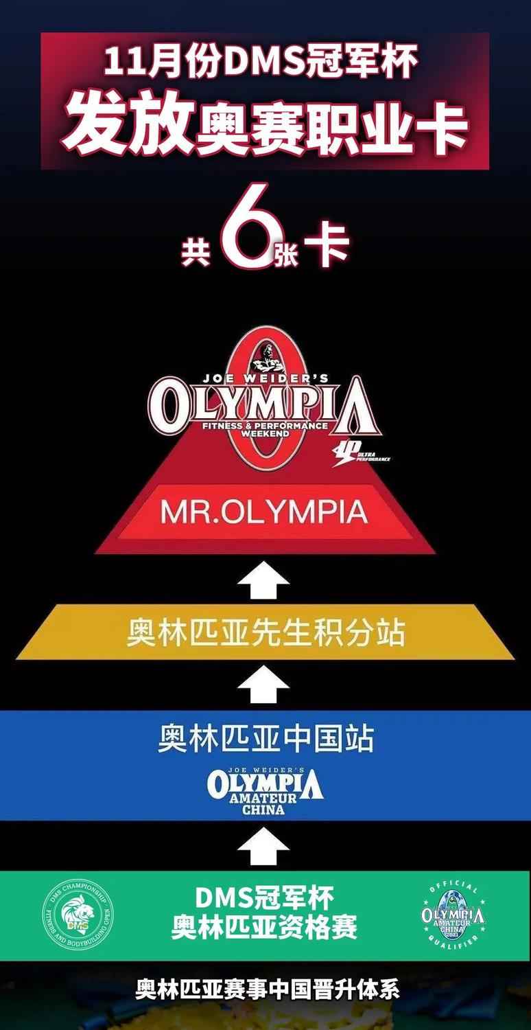 dms冠军杯前十名,2019dms冠军杯回放