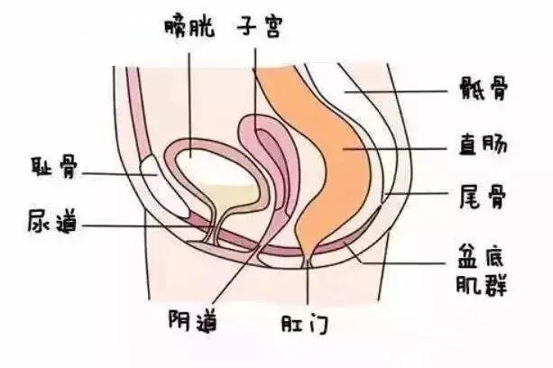 母亲节送什么礼物最有面子,母亲节送什么礼物实惠有新意