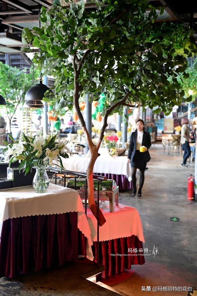 网红餐厅“胡桃里”的绿植布置|行摄