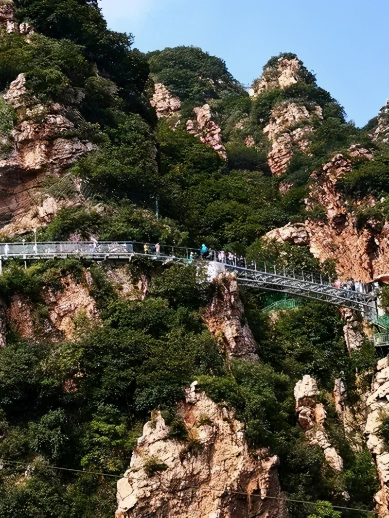 千万不要调侃1387万天津人